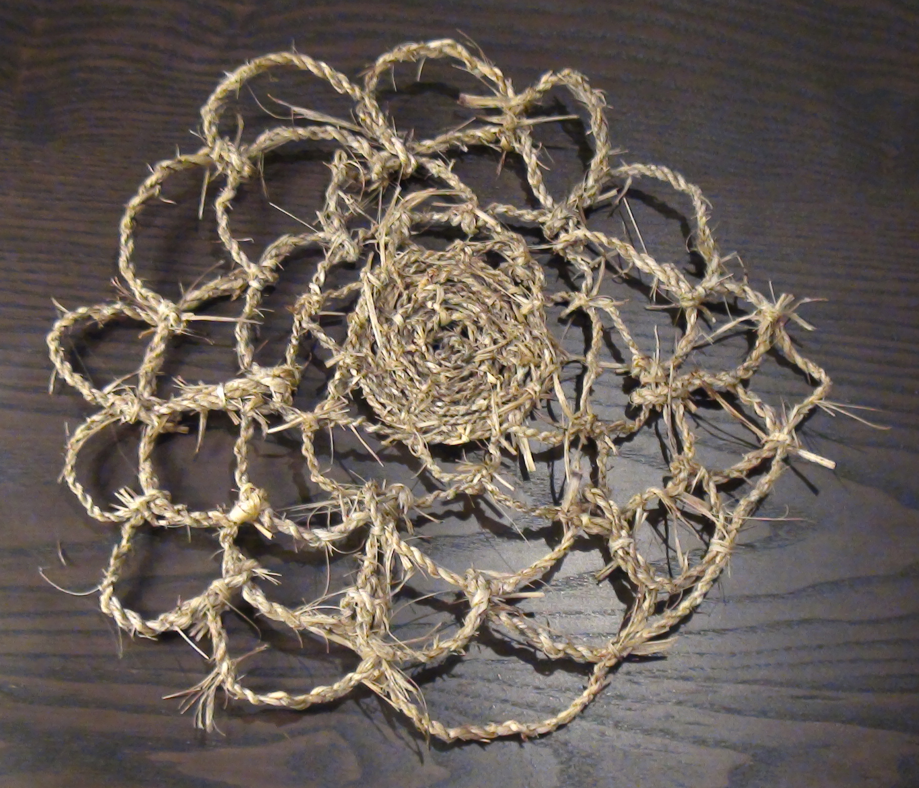 Daffodil and cordage doily